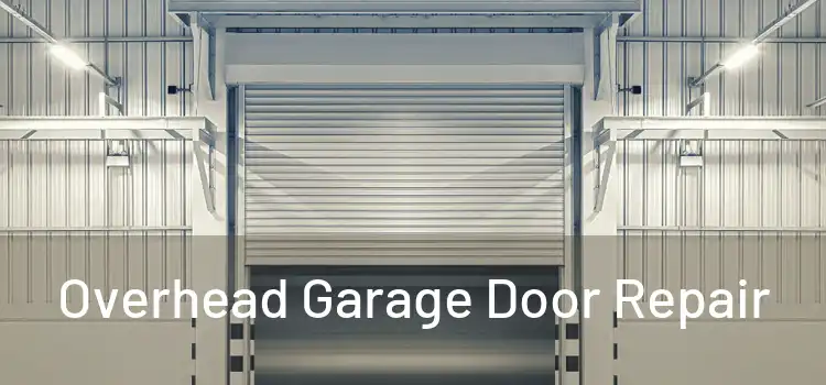  Overhead Garage Door Repair 